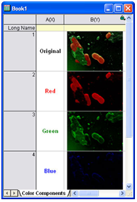 images_in_cells_lg.jpg